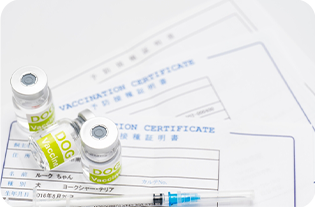 獣医検診証明必須画像