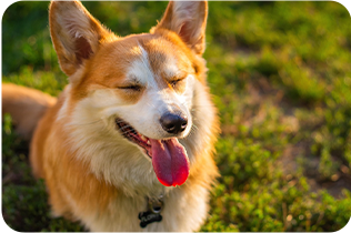 スケジューリング