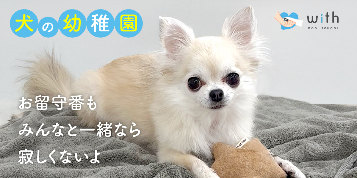withドッグスクールのイメージ画像