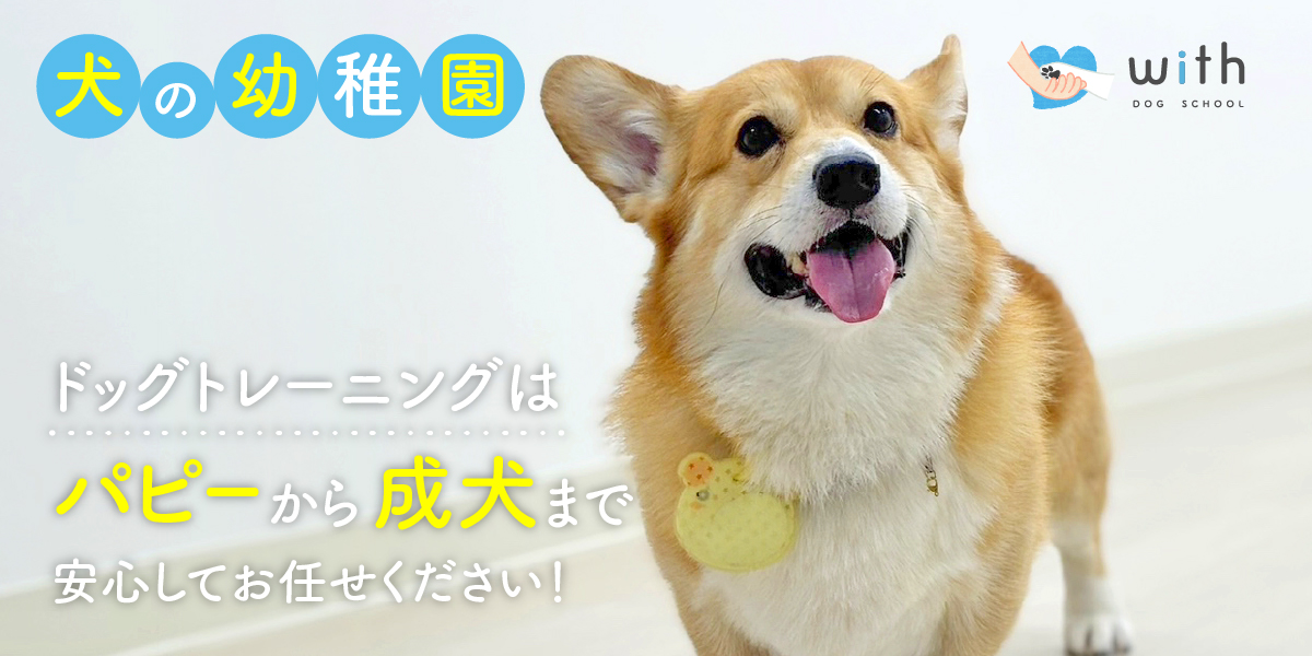 withドッグスクールのイメージ画像